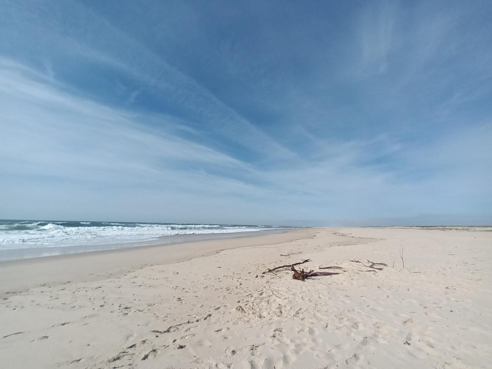 Apartment Close To The Ria De Aveiro, Sao Jacinto Exteriör bild