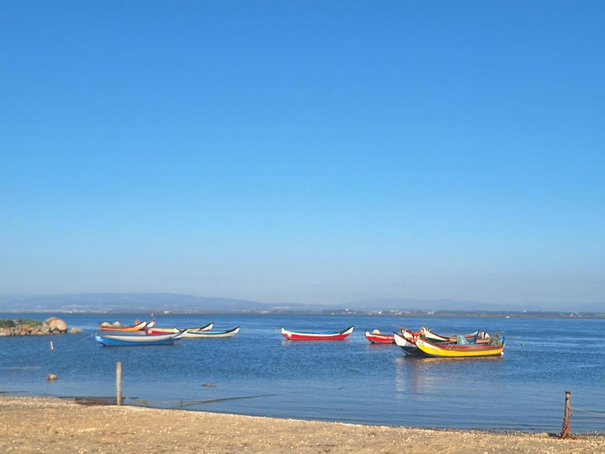 Apartment Close To The Ria De Aveiro, Sao Jacinto Exteriör bild